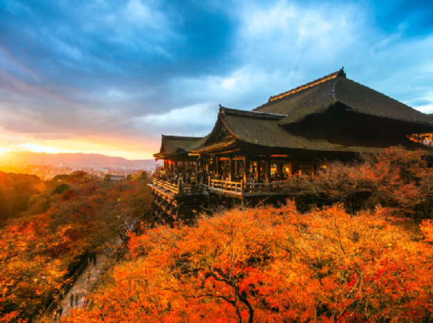 {8AJ6{P_1_DZ)107TX9S5~O.png {8AJ6{P_1_DZ)107TX9S5~O.png