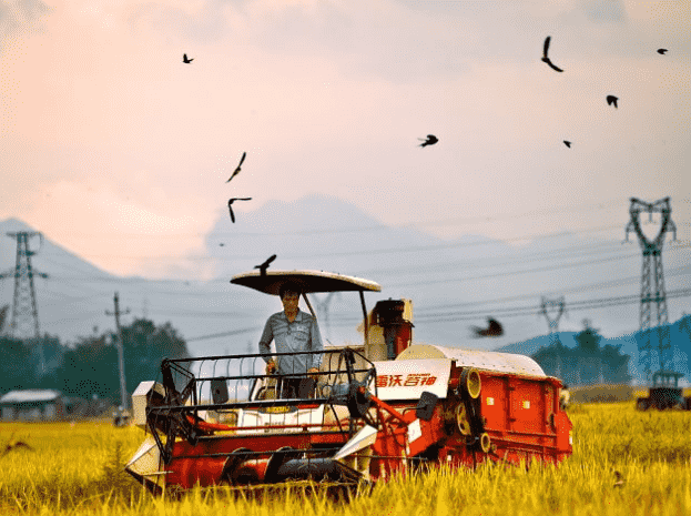 NATX30BO(PE_)L@%`U29T`M (1).png NATX30BO(PE_)L@%`U29T`M (1).png