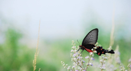 8[P21AU4ZX`{@46ISSHWSQU.png 8[P21AU4ZX`{@46ISSHWSQU.png