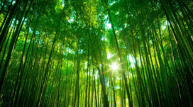 6371980527610737554332303.jpg 6371980527610737554332303.jpg